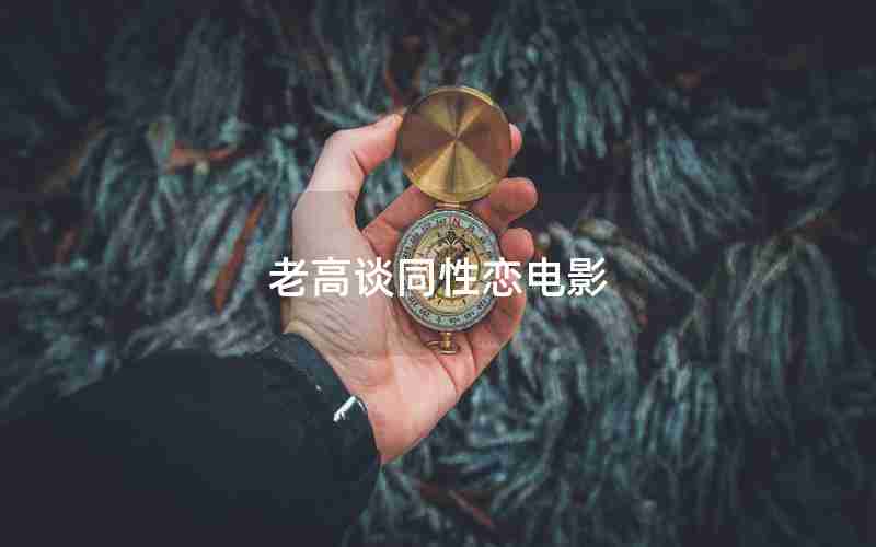 老高谈同性恋电影 老高谈同性恋电影