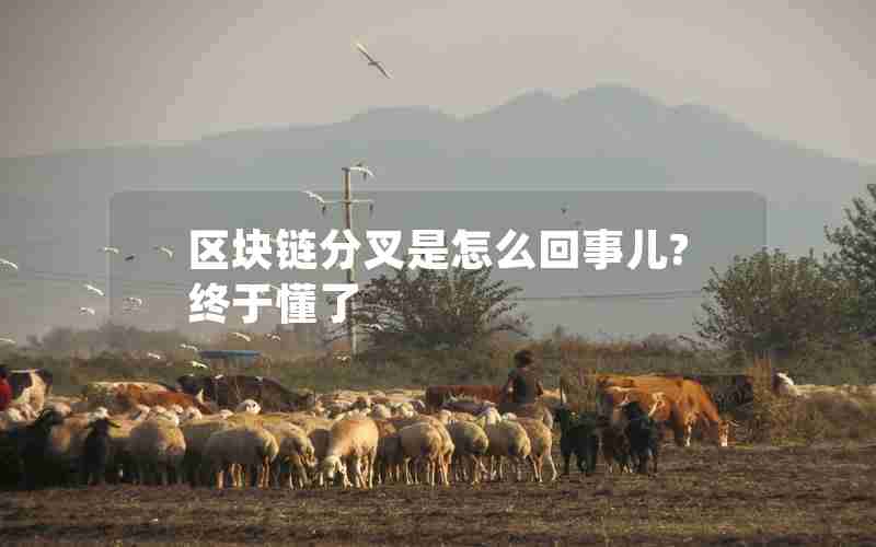 区块链分叉是怎么回事儿?终于懂了 区块链分叉是怎么回事儿?终于懂了