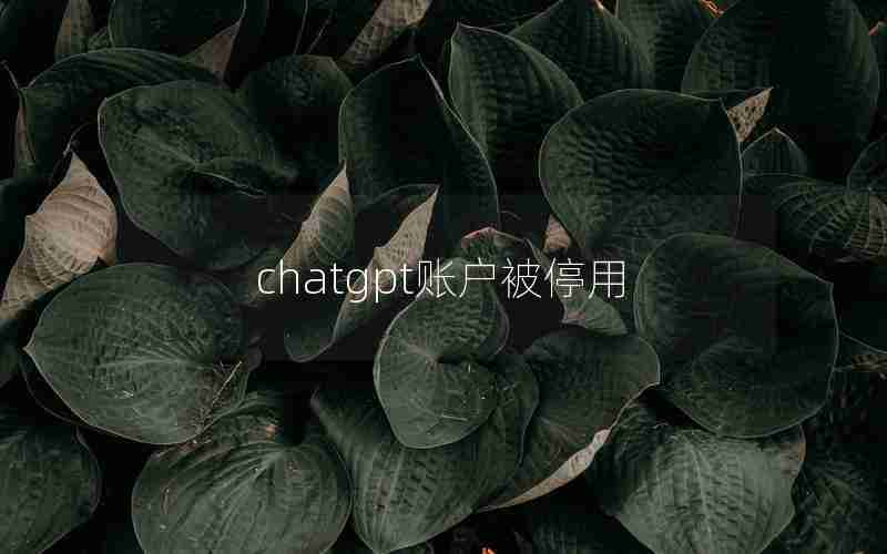 chatgpt账户被停用 chatgpt账户被停用