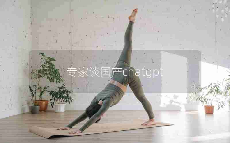专家谈国产chatgpt