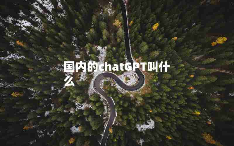 国内的chatGPT叫什么 国内的chatGPT叫什么