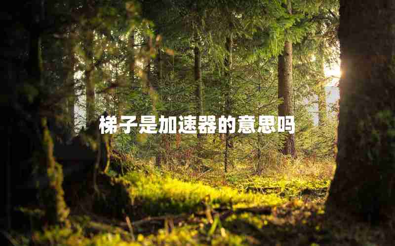 梯子是加速器的意思吗