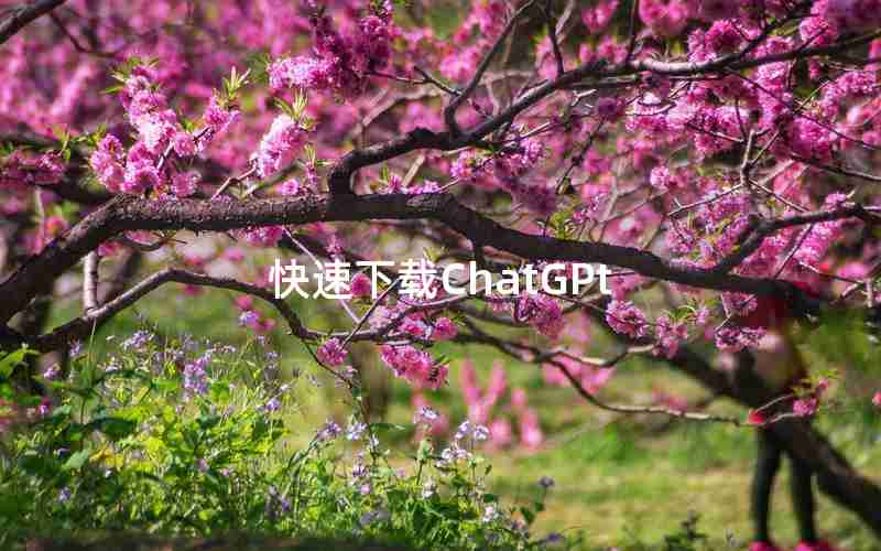 快速下载ChatGPt 快速下载ChatGPt