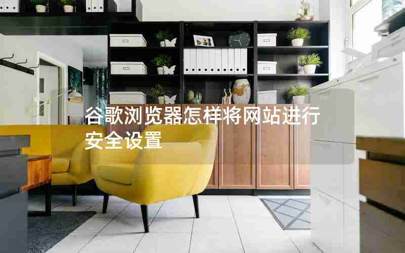 谷歌浏览器怎样将网站进行安全设置 谷歌浏览器怎样将网站进行安全设置