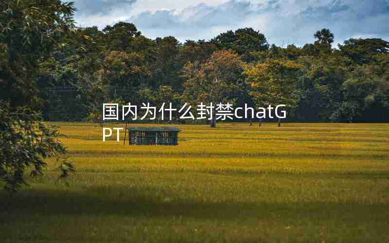 国内为什么封禁chatGPT 国内为什么封禁chatGPT
