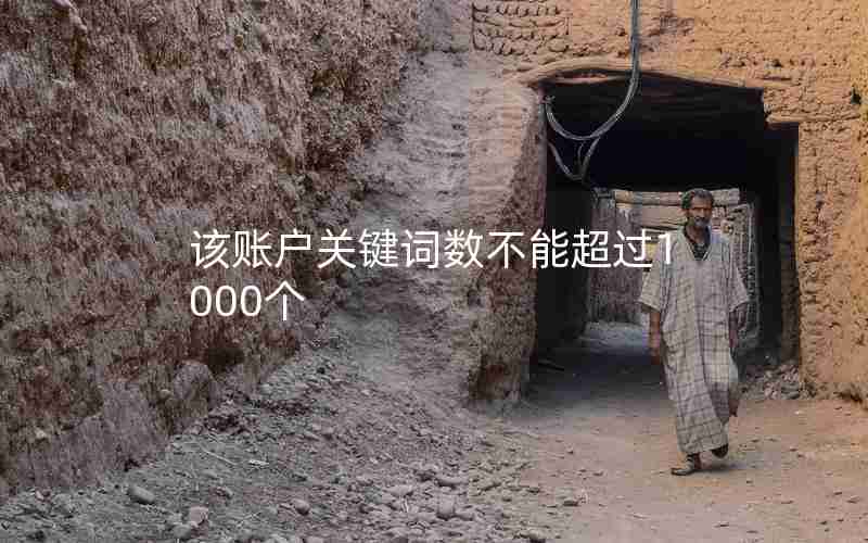 该账户关键词数不能超过1000个