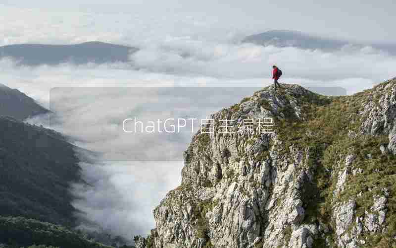 ChatGPT自主编程 ChatGPT自主编程