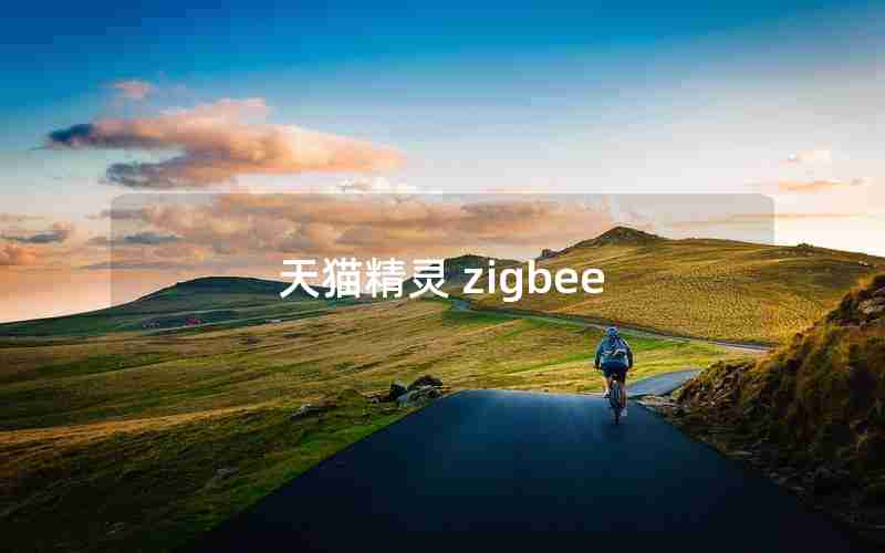 天猫精灵 zigbee