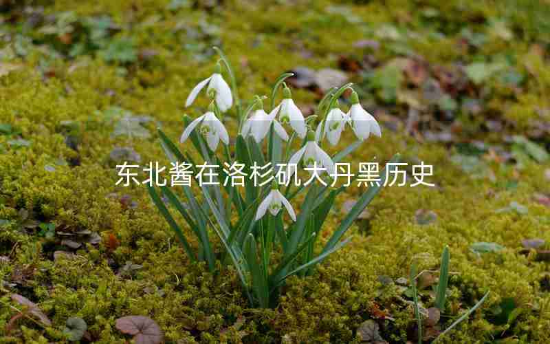 东北酱在洛杉矶大丹黑历史