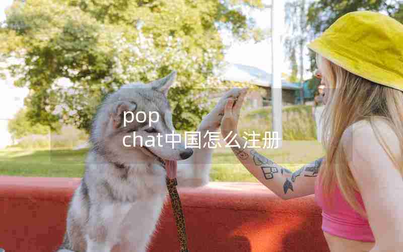 pop chat中国怎么注册
