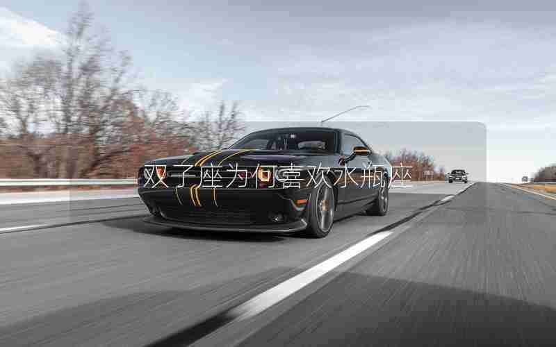 双子座为何喜欢水瓶座