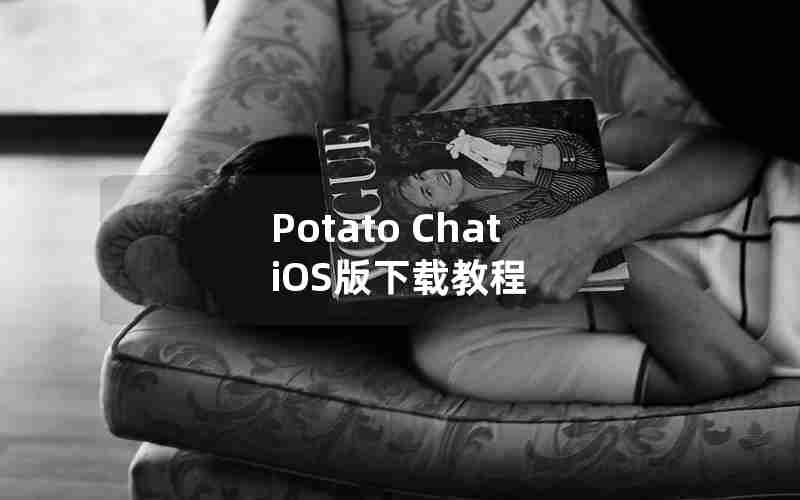 Potato Chat iOS版下载教程