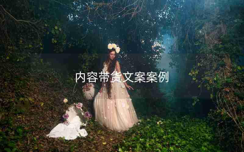 内容带货文案案例 内容带货文案案例