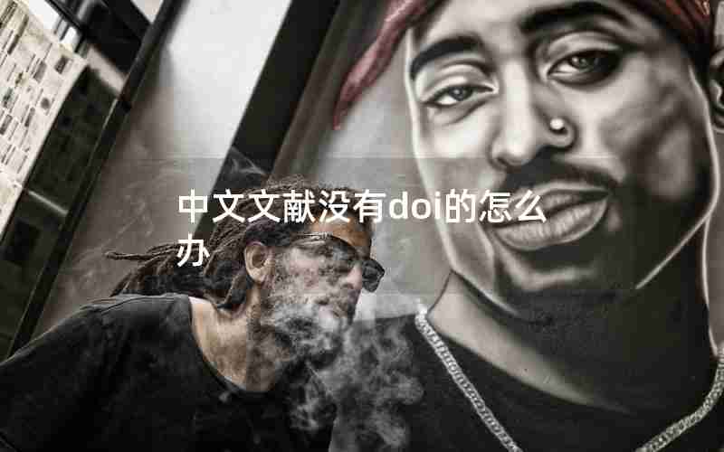 中文文献没有doi的怎么办