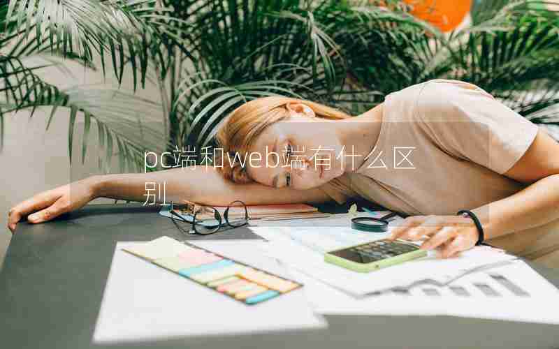 pc端和web端有什么区别