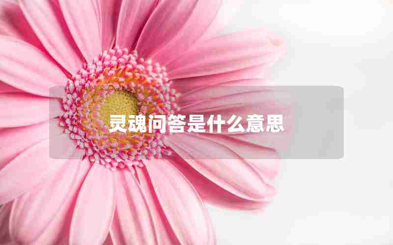 灵魂问答是什么意思 灵魂问答是什么意思