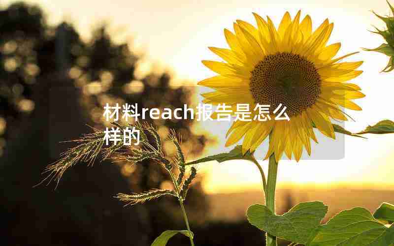材料reach报告是怎么样的