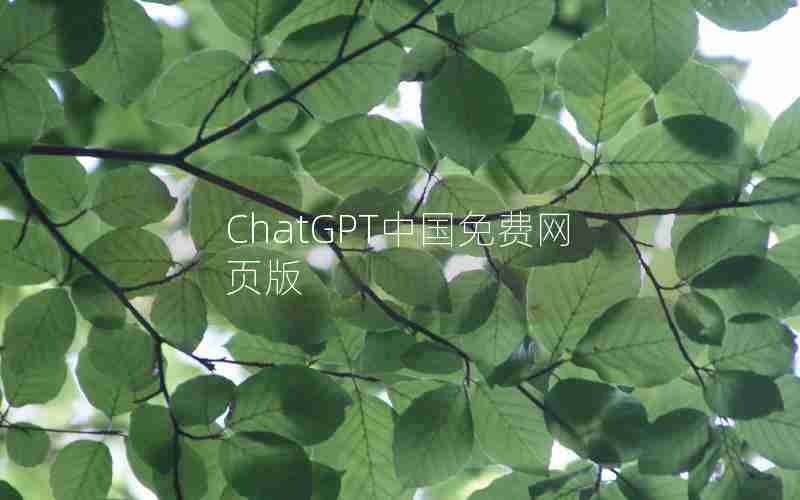 ChatGPT中国免费网页版 ChatGPT中国免费网页版