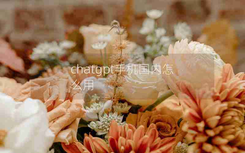 chatgpt手机国内怎么用 chatgpt手机国内怎么用