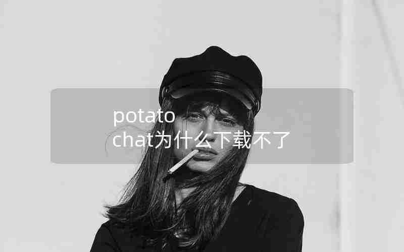 potato chat为什么下载不了 potato chat为什么下载不了