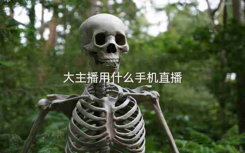 大主播用什么手机直播