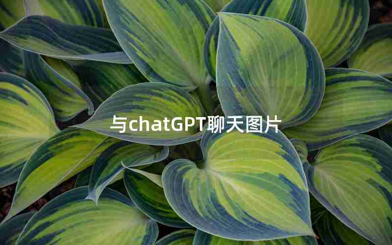 与chatGPT聊天图片