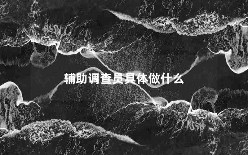 辅助调查员具体做什么