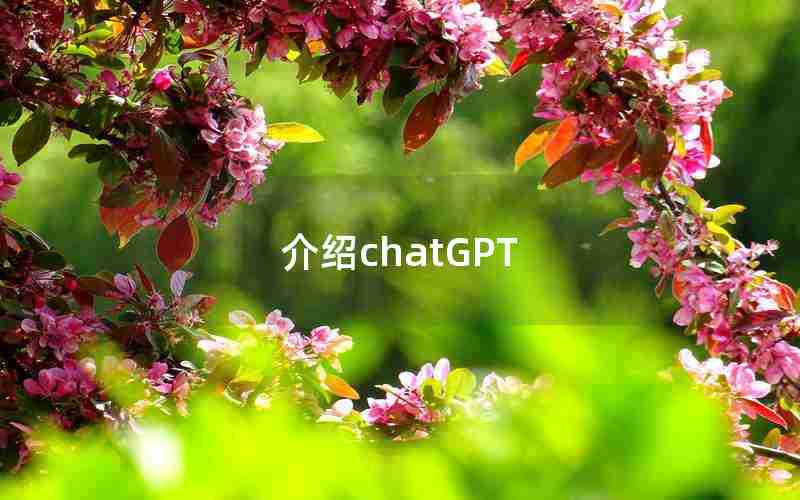 介绍chatGPT 介绍chatGPT