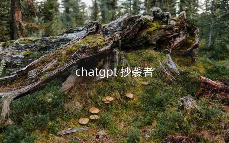 chatgpt 抄袭者 chatgpt 抄袭者