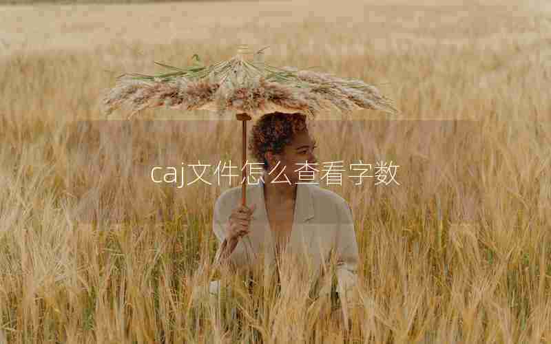 caj文件怎么查看字数