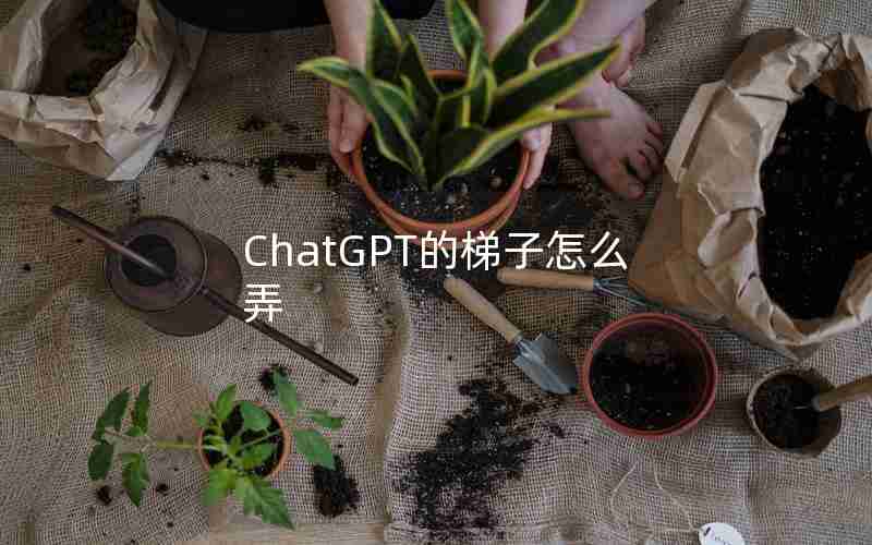 ChatGPT的梯子怎么弄 ChatGPT的梯子怎么弄