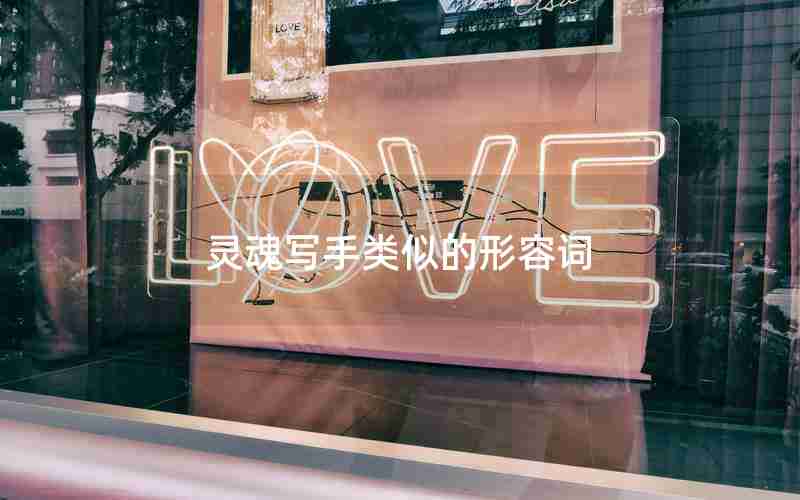 灵魂写手类似的形容词