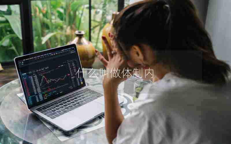 什么叫做体制内