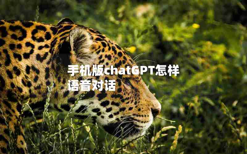 手机版chatGPT怎样语音对话