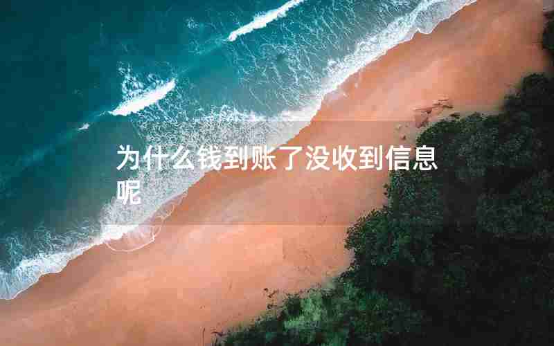 为什么钱到账了没收到信息呢 为什么钱到账了没收到信息呢