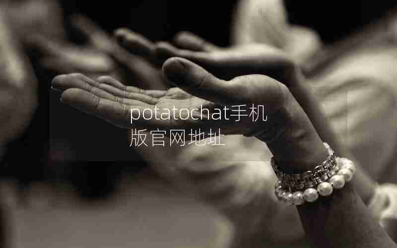 potatochat手机版官网地址