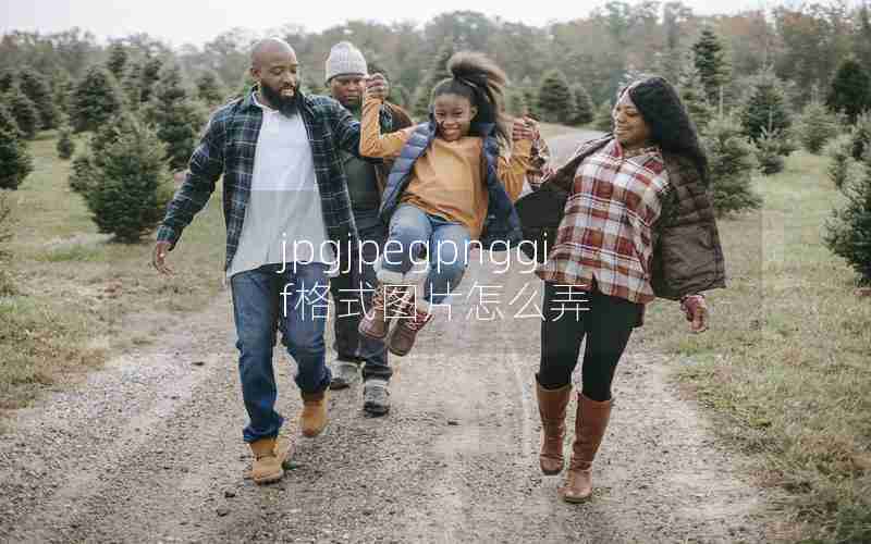 jpgjpegpnggif格式图片怎么弄