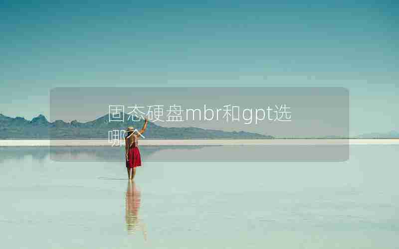 固态硬盘mbr和gpt选哪个 固态硬盘mbr和gpt选哪个