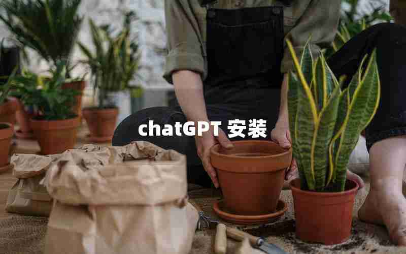chatGPT 安装