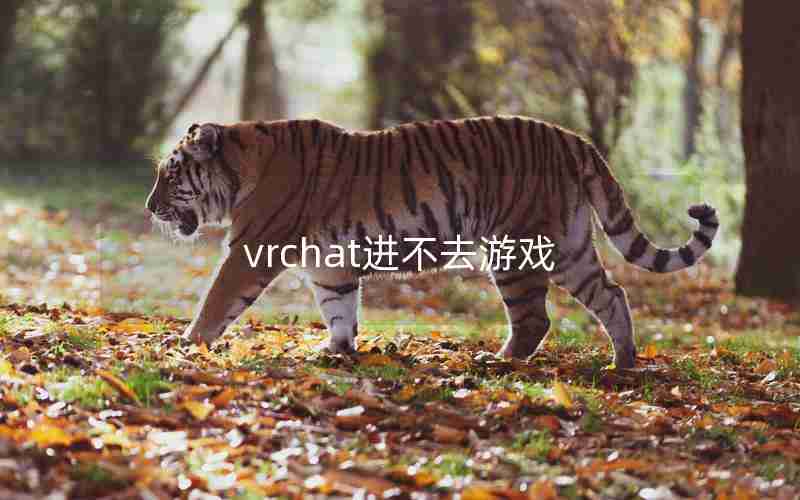 vrchat进不去游戏