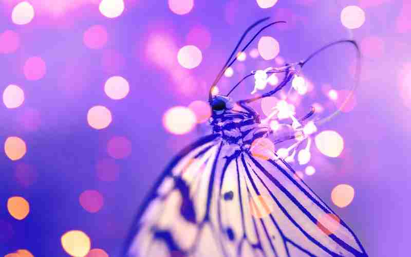 ChatGPT读文献插件如何提升文献写作的准确性