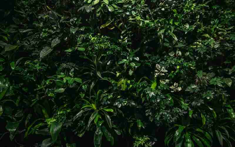 为什么ChatGPT偶尔会给出错误答案 为什么ChatGPT偶尔会给出错误答案