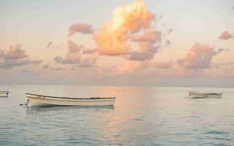 ChatGPT网页版的技术原理是什么 ChatGPT网页版的技术原理是什么