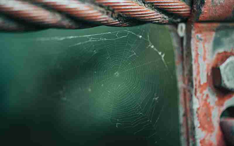 ChatGPT手机版如何切换为简体中文 ChatGPT手机版如何切换为简体中文