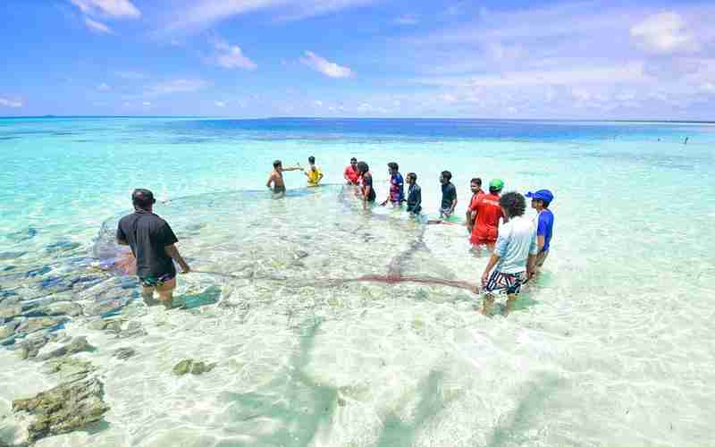 登录ChatGPT时遇到403错误，是否需要重置密码