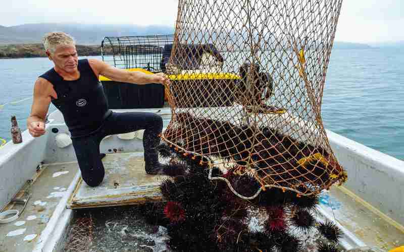 ChatGPT模型的核心算法是什么 ChatGPT模型的核心算法是什么