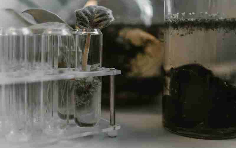 如何查看ChatGPT 4.0账户的消费记录 如何查看ChatGPT 4.0账户的消费记录