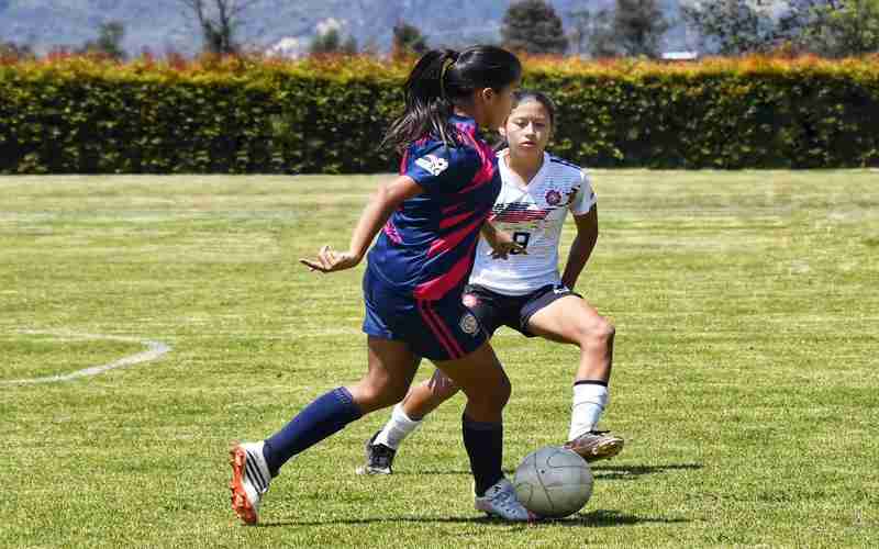 为什么我无法在某些浏览器上登录ChatGPT 为什么我无法在某些浏览器上登录ChatGPT