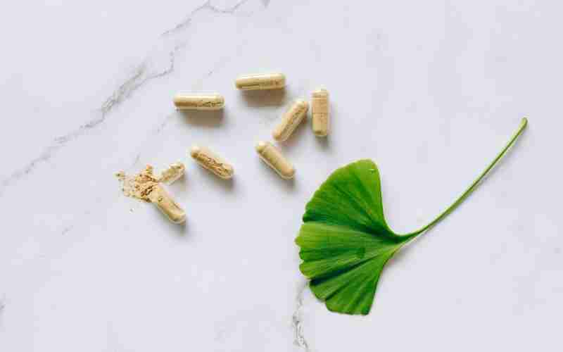 ChatGPT 4.0的付费方案适合哪些用户