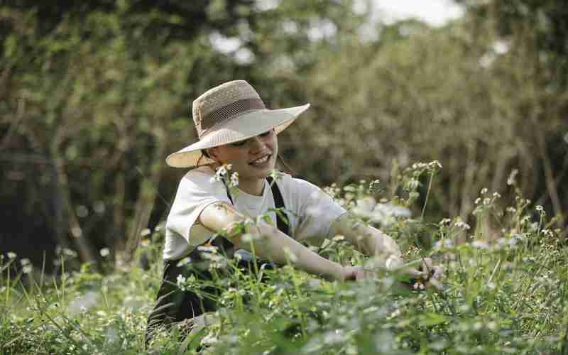 如何通过ChatGPT实现智能客服机器人